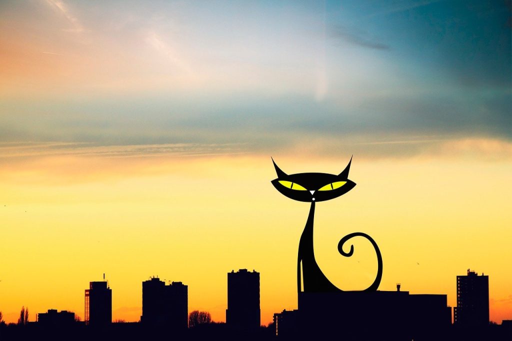 Tukang Rakit Pintu Aluminium