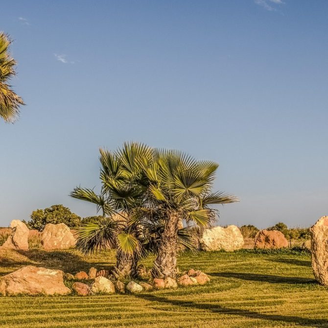 Blog Grid 73 unnamed file 1